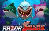 Razor Shark – Zanurz się i zgarnij nagrody
